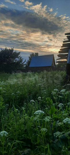 Дом 40 м² на участке 11 сот.