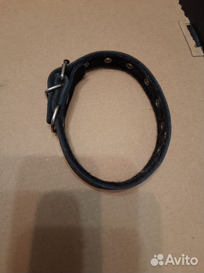 Одежда для собак