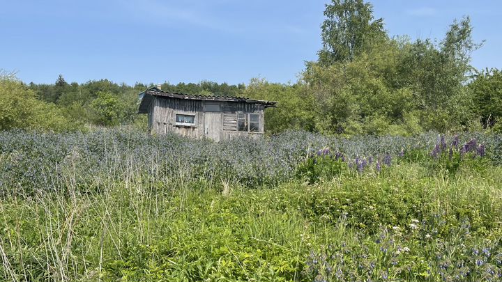 Участок 6 сот. (СНТ, ДНП)