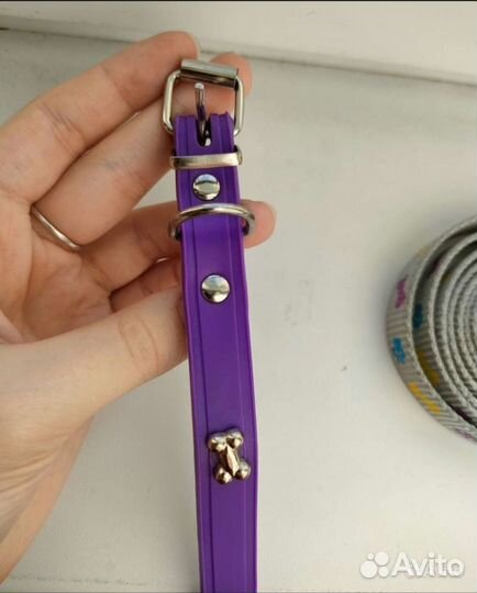 Ошейник и поводок