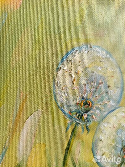Одуванчики картина полевые цветы маслом 25х35см