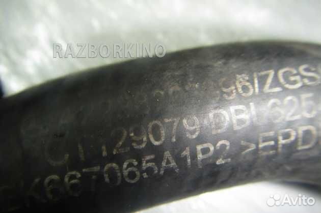 Шланг Мерседес W222 S