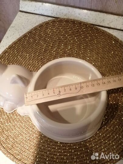 Инвентарь для домашних