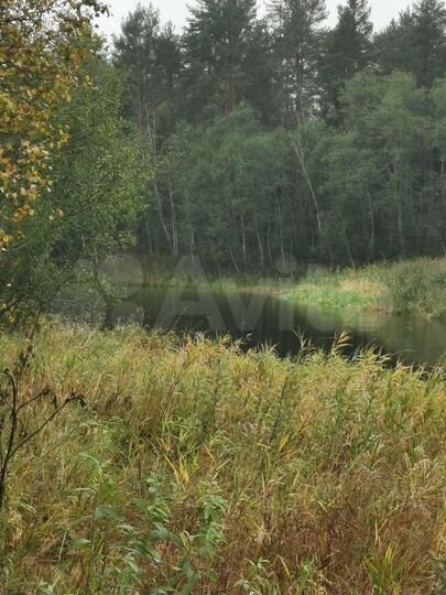 Участок 31,8 га (промназначения)