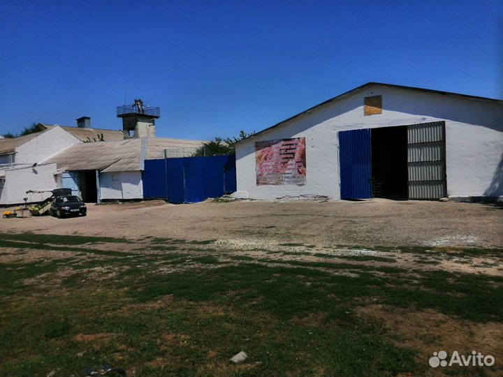 Комбикорм для свиней и уток