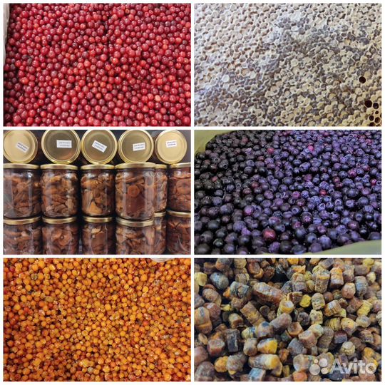 Ягоды грибы мёд дары природы