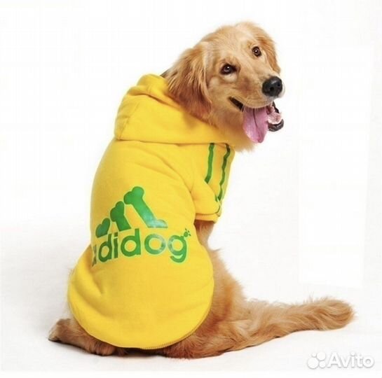 Одежда для собак