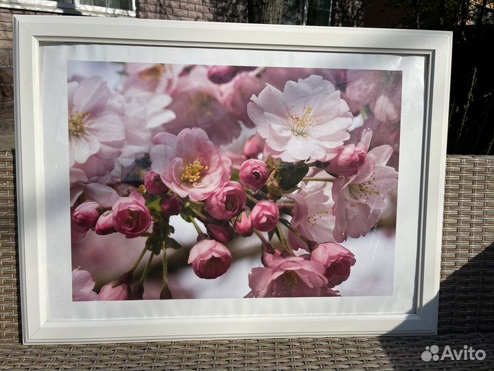 Картина постер IKEA икея в раме