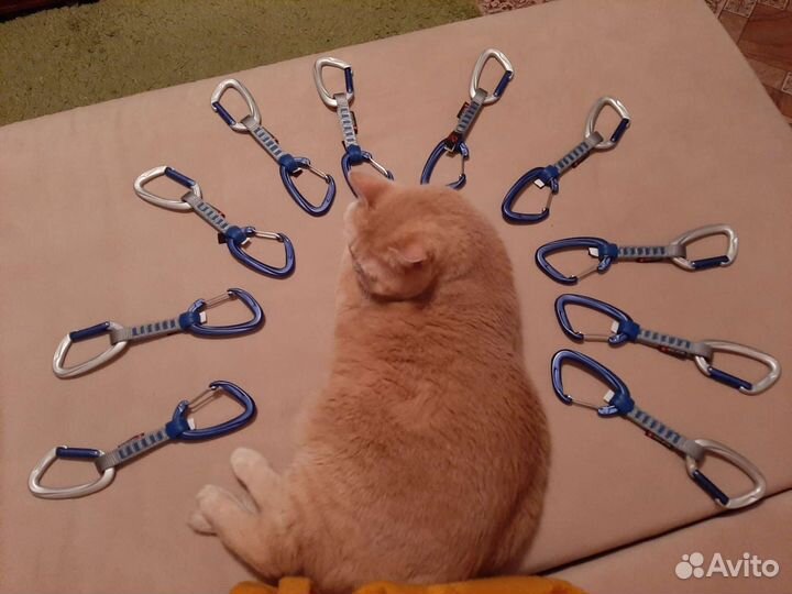 Комплект оттяжек Mammut