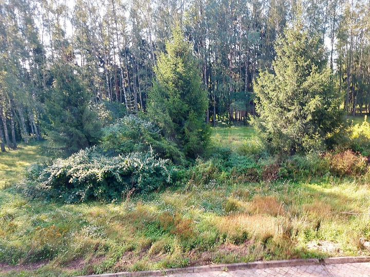 База отдыха,санаторий,пансионат,парк-отель 4000 м²