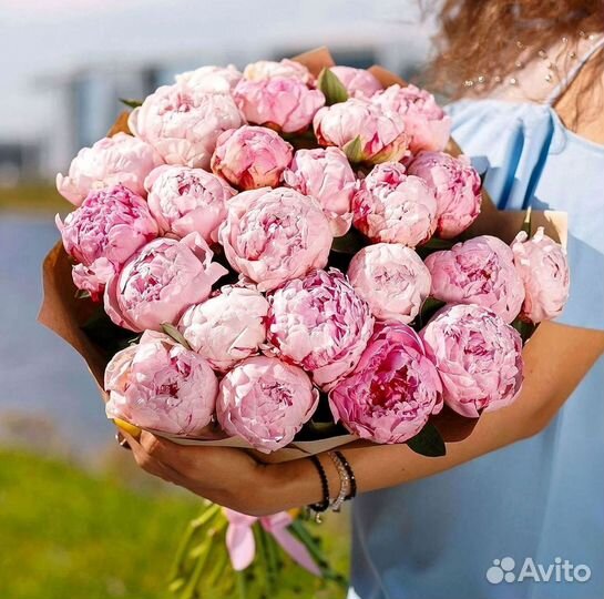 Пионы Букеты Цветы Доставка