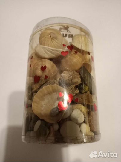 Ракушки и камни с моря