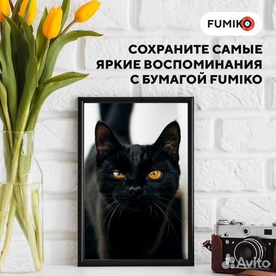 Фотобумага fumiko матовая односторонняя 220г/10х1