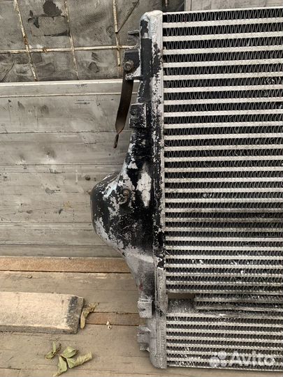 Интеркулир iveco