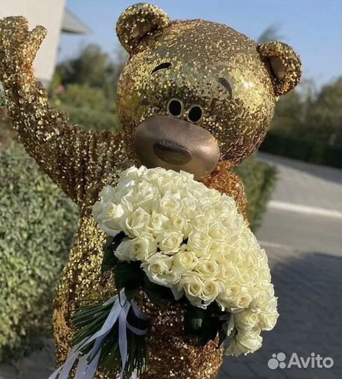 Аниматоры/Экспресс Поздравление