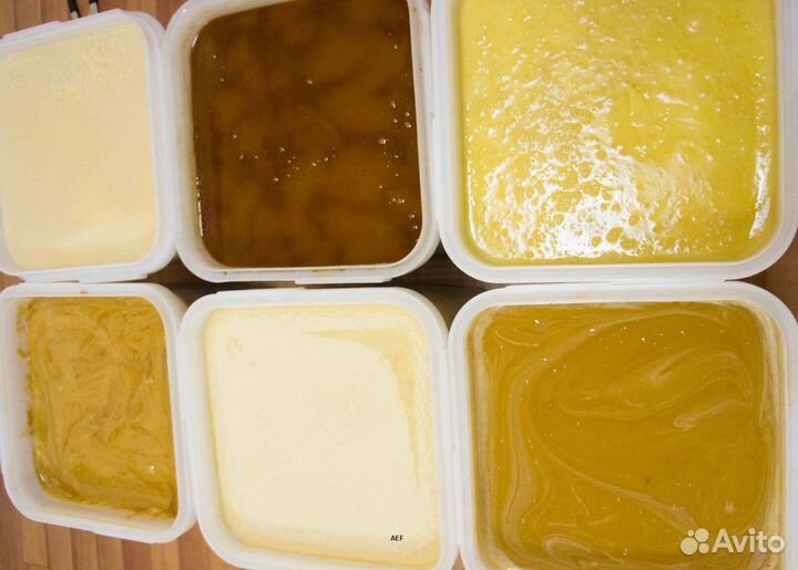 2024 Мед натуральный из Алтая опт