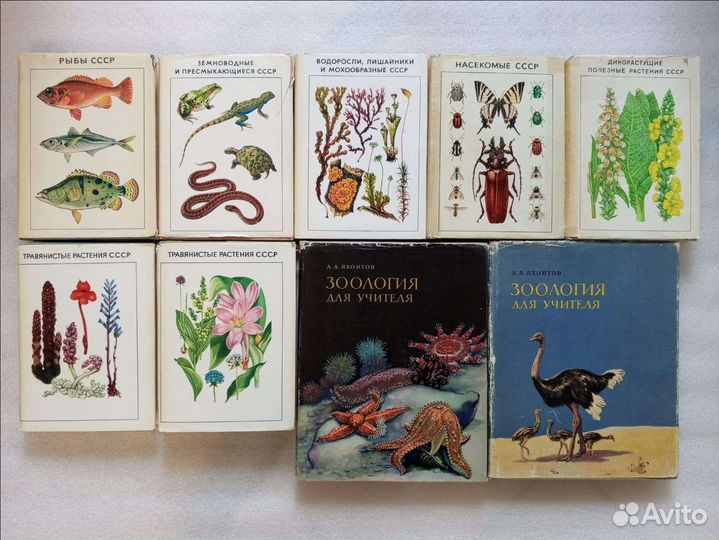 Книги. Справочники-определители географа и путешес