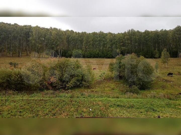 Участок 33,1 сот. (ИЖС)