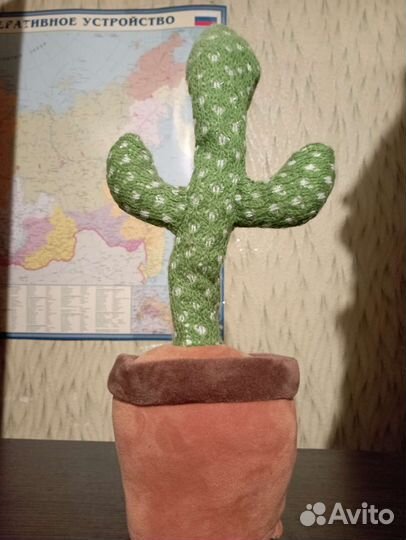 Поющий кактус