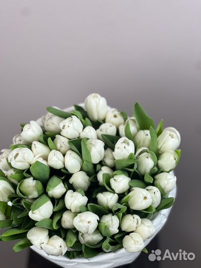 Тюльпаны в москве