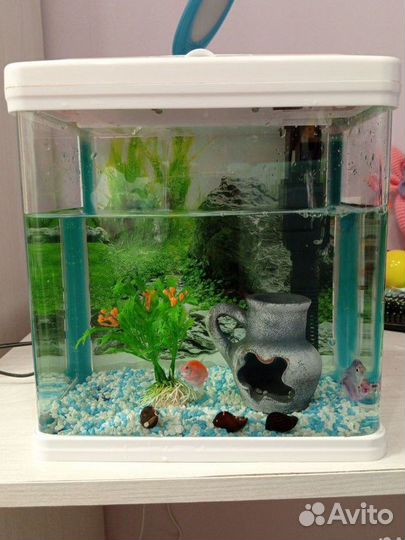 Аквариум