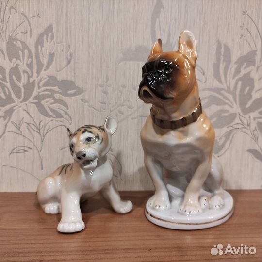 Собака и тигренок