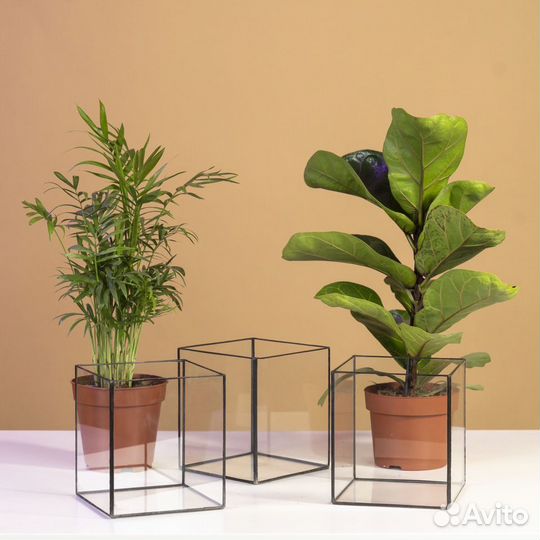 Флорариум кашпо квадратное