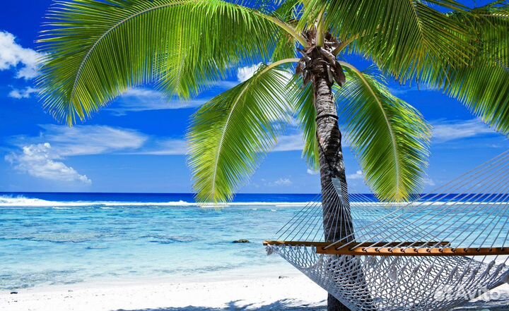 Официант шведской линии в Сочи