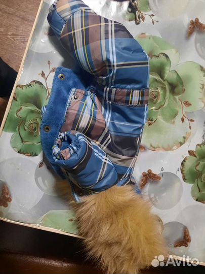 Одежда для маленьких собак