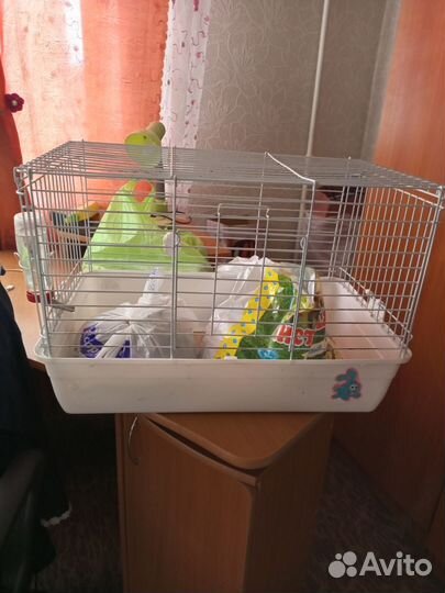 Клетка для грызунов бу