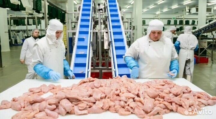 Рабочие на Вахту на производство