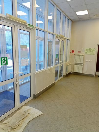 Офис, 33.6 м² (6,5 14,0 13,1)