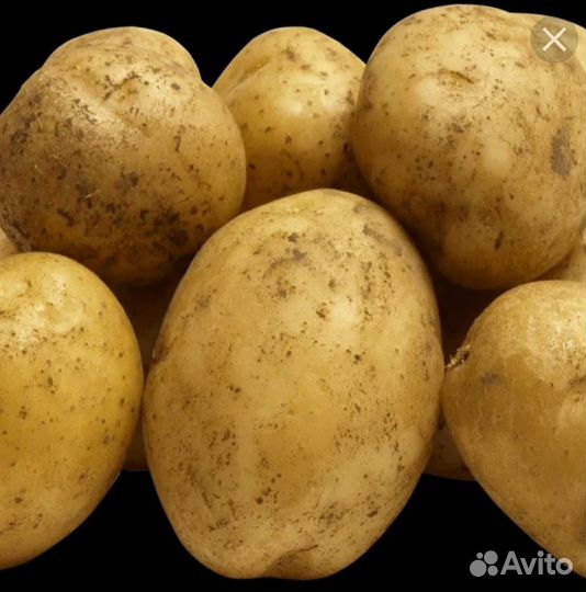 Продаётся картофель