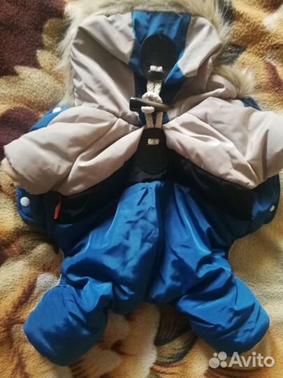 Комбинезон для собак бежево-синий с капюшоном