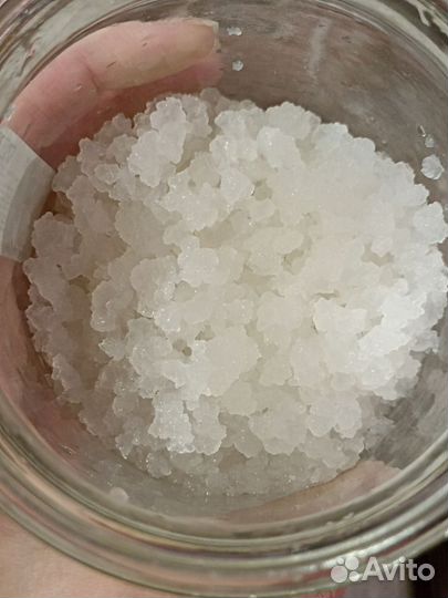 Индийский морской рис(гриб зооглея)