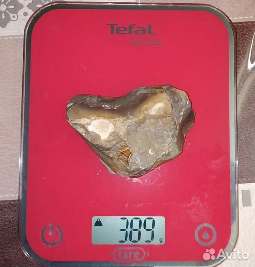 Камень древний с окаменелостью