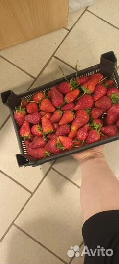 Клубника Азербайджан