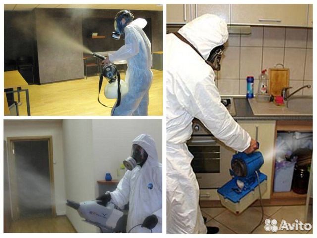 Уничтожение клопов тараканов клещей Йошкар-Ола