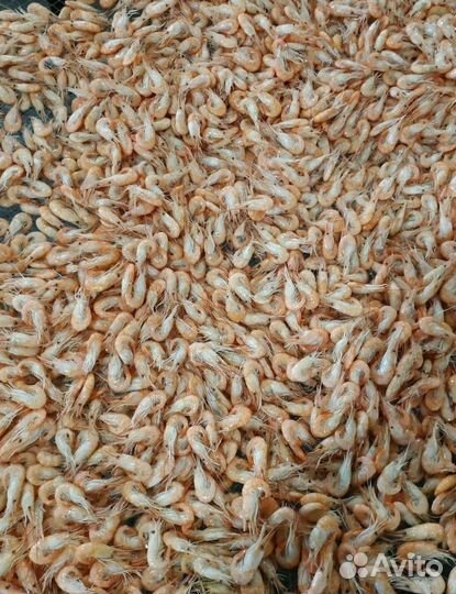 Креветка азовская с доставкой