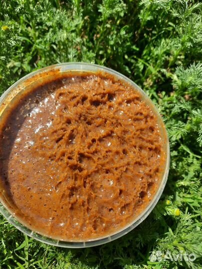 Медово-перговая паста