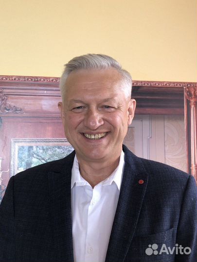 Авитолог продвижение консультация