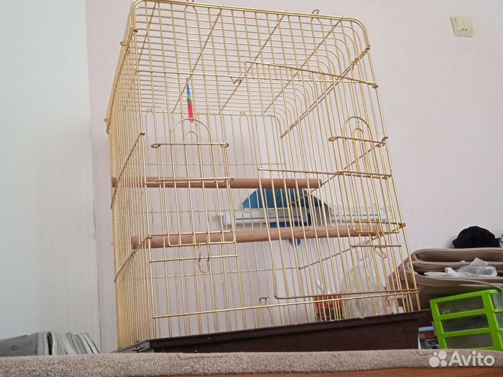 Большая золотая клетка для попугая 68.5*45.5*46