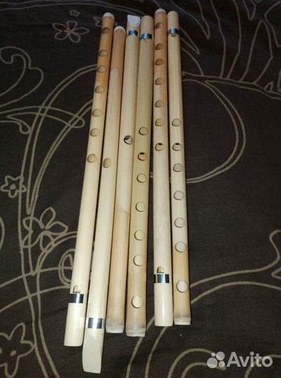 Дудочка Дудка