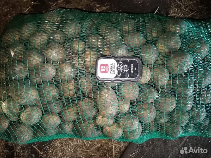 Картофель продовольственный