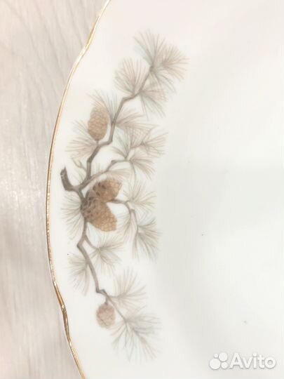 Тарелки СССР. Япония шишки