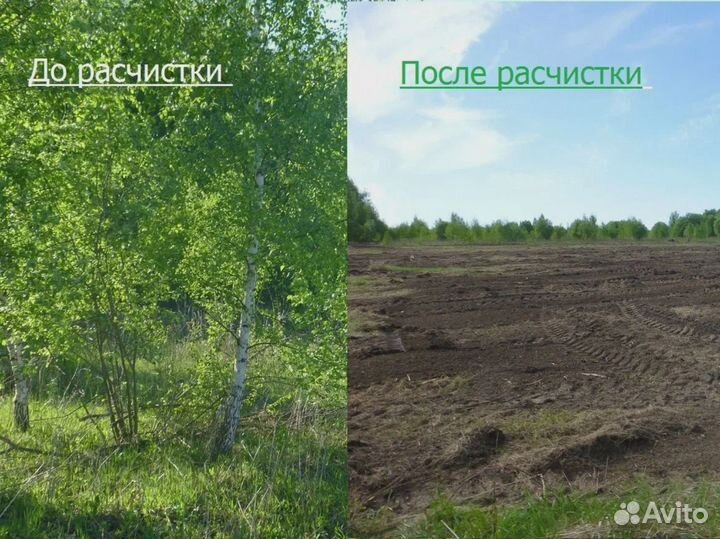 Расчистка участка спил деревьев корчевание