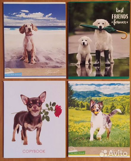 Тетради клетка, линейка. Папка