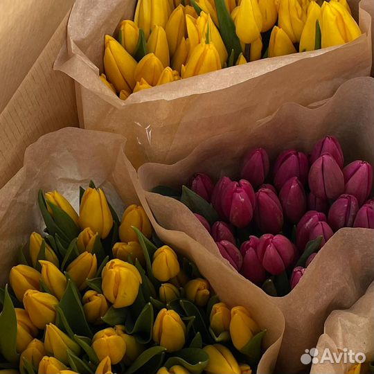 Тюльпаны на 8 марта