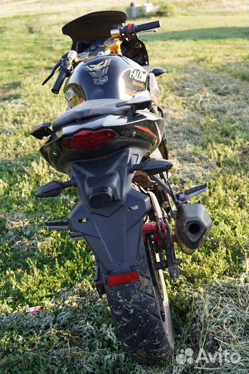 Falcon Terrail 250