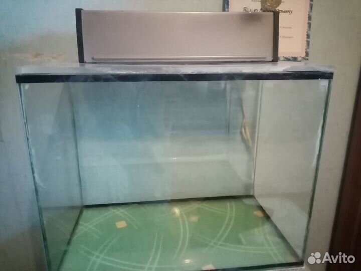 Аквариум с оборудованием